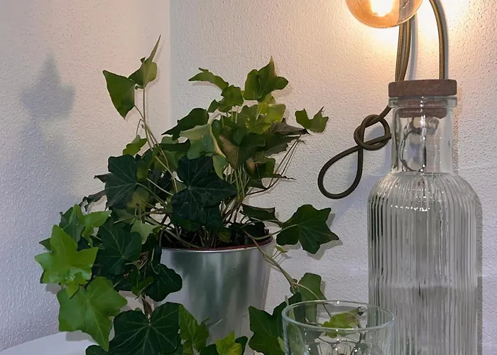 Altstadtsuite Apartment